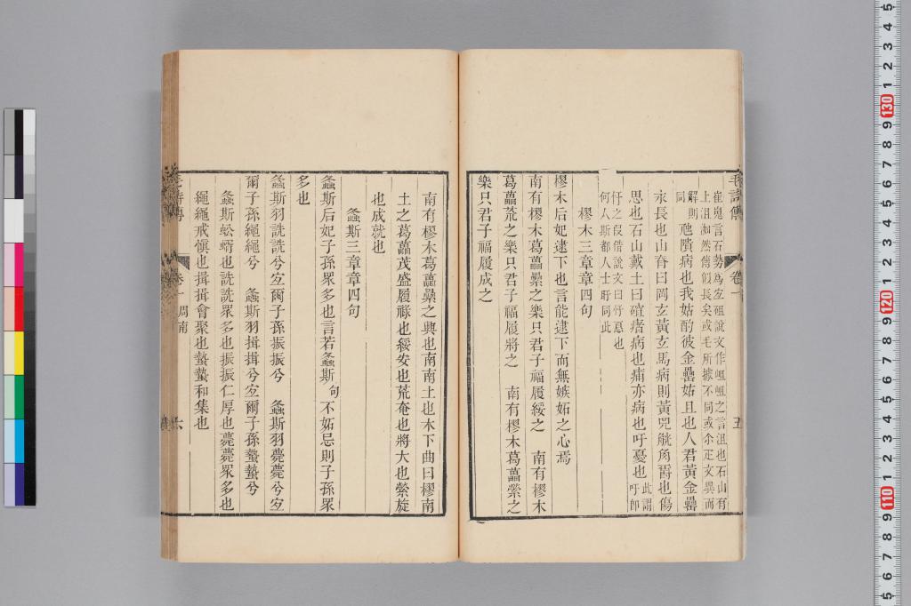 標準画像へ