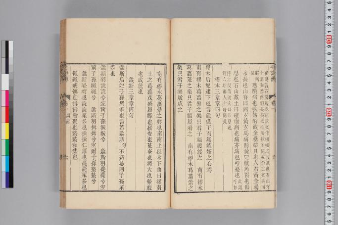 拡大画像へ