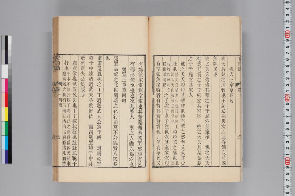 標準画像へ