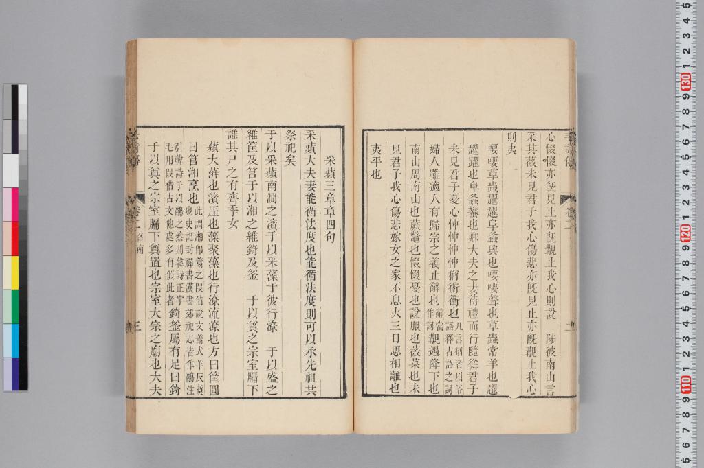 標準画像へ