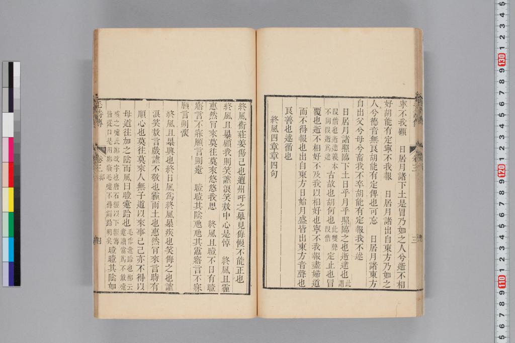 標準画像へ