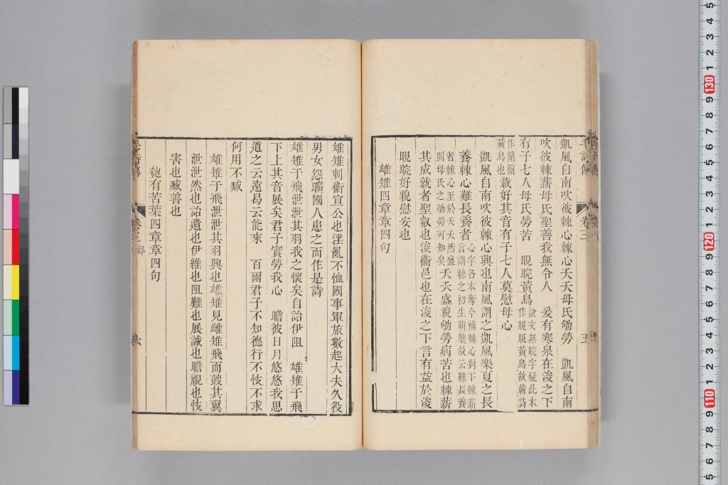 標準画像へ