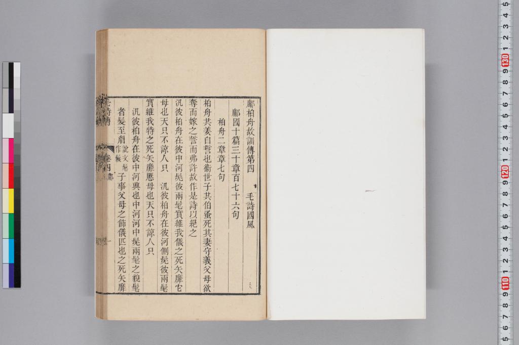 標準画像へ