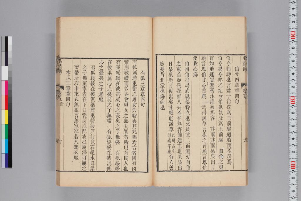 標準画像へ