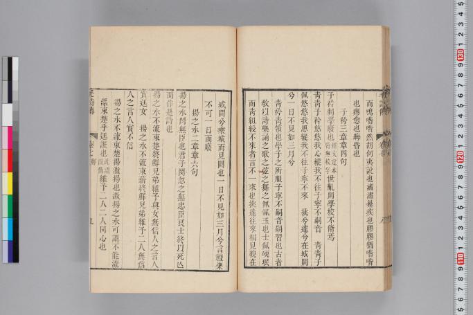 拡大画像へ