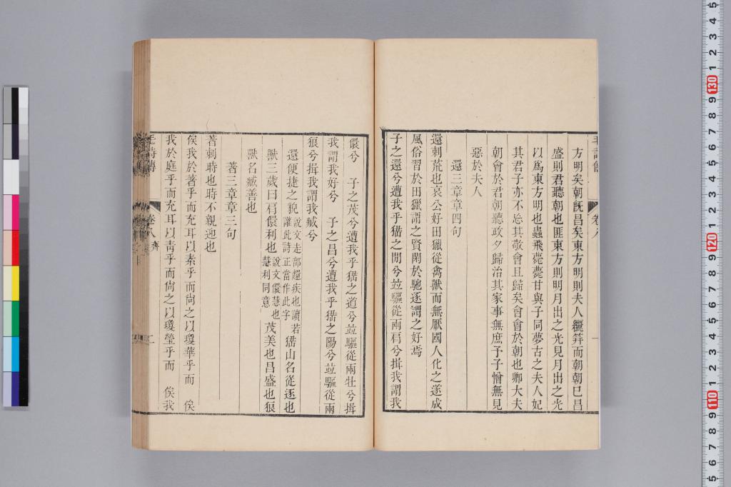 標準画像へ