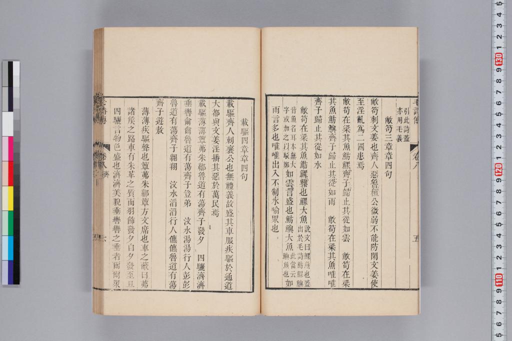 標準画像へ