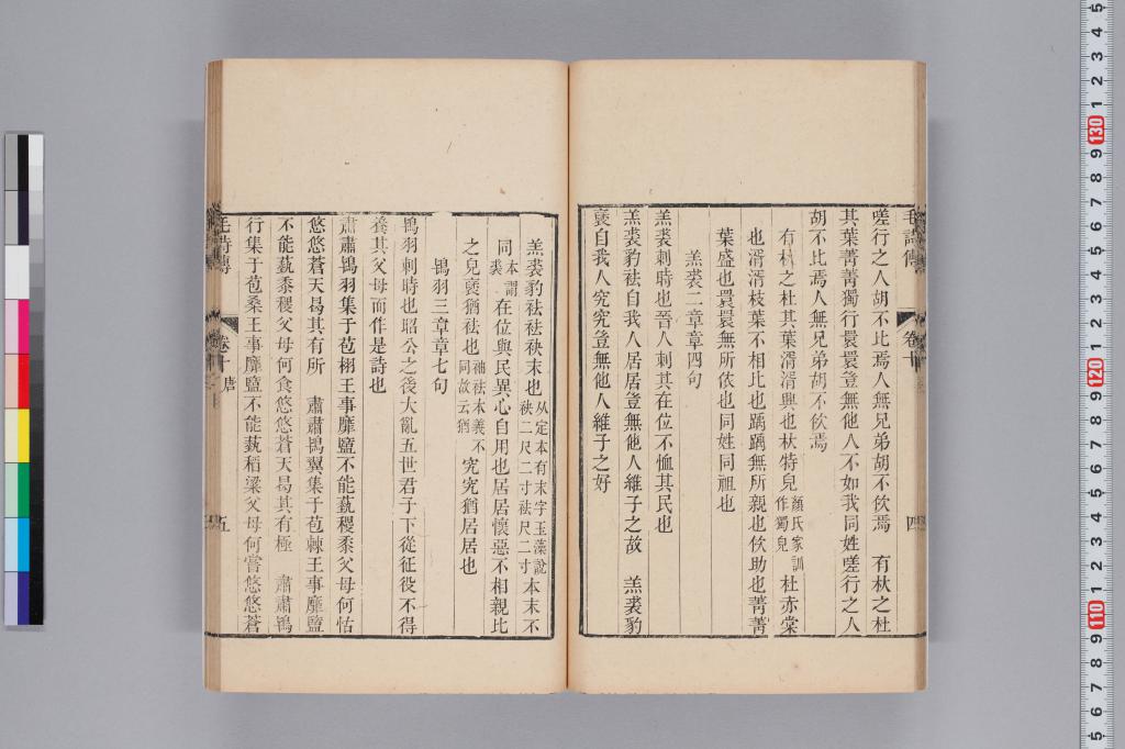 標準画像へ