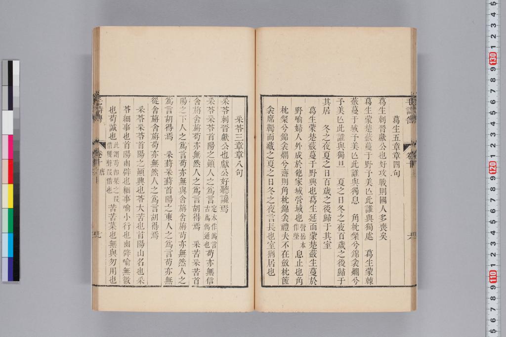標準画像へ