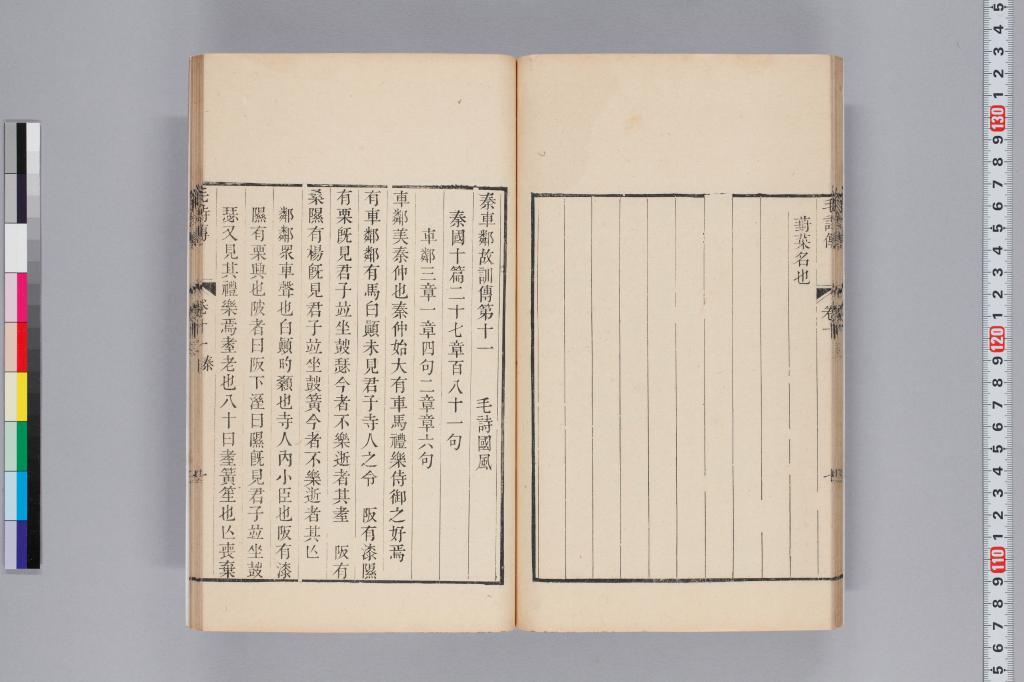 標準画像へ