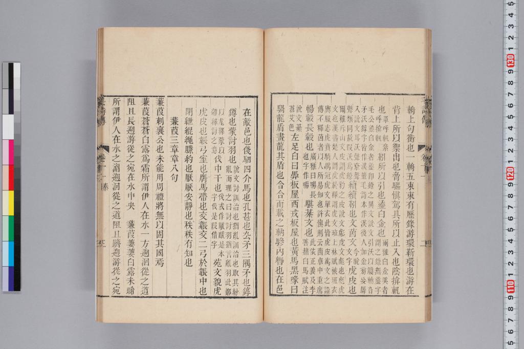 標準画像へ