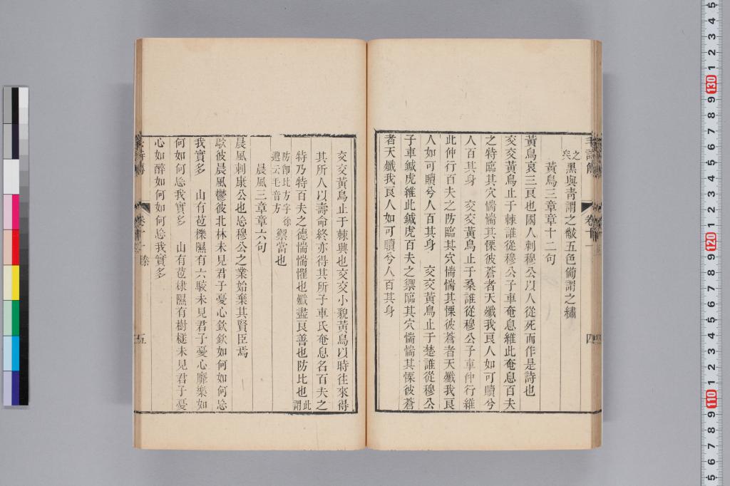 標準画像へ