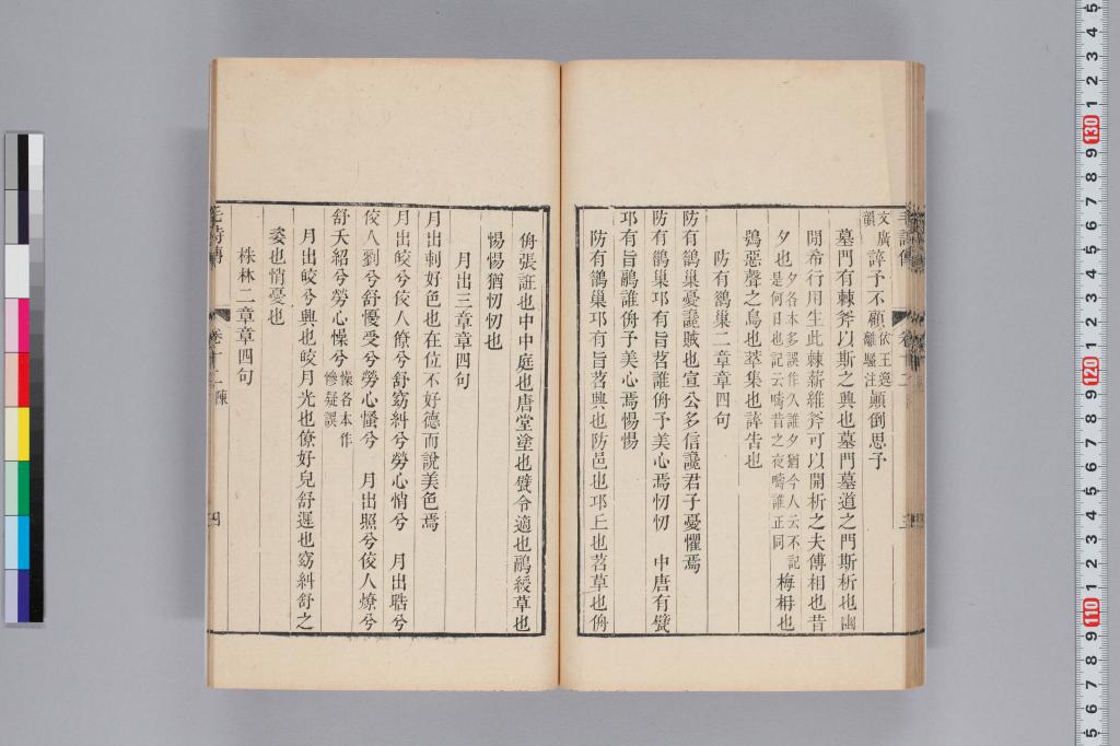 標準画像へ