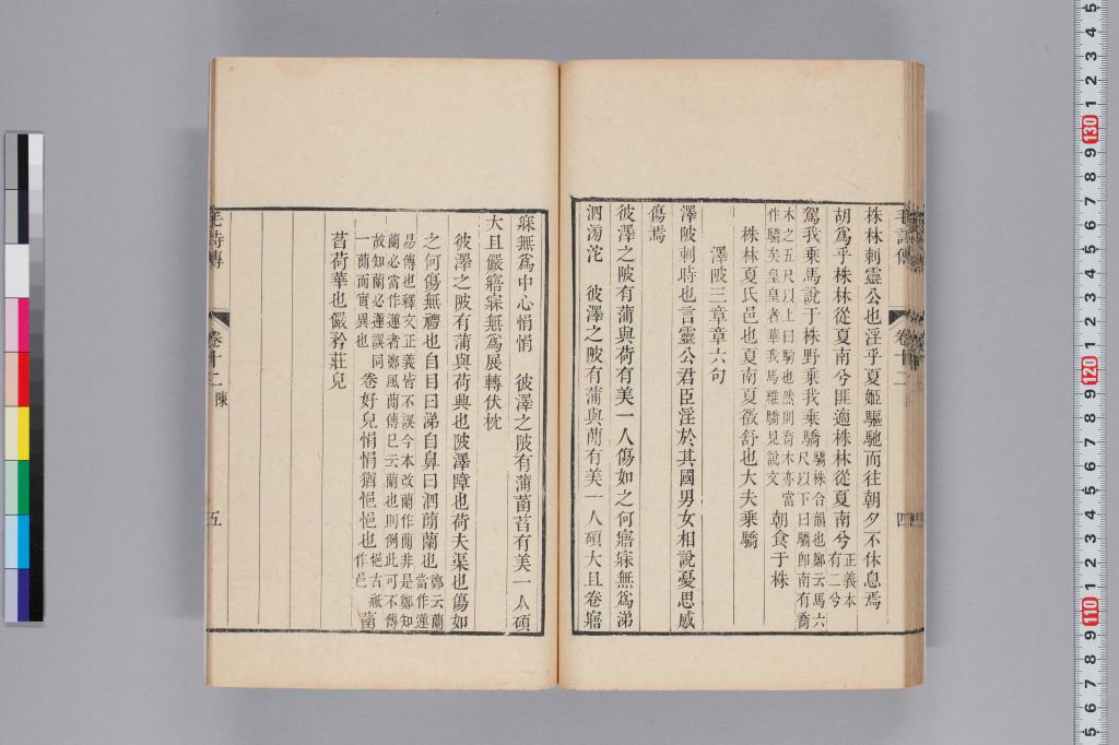 標準画像へ