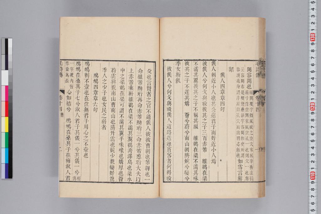 標準画像へ