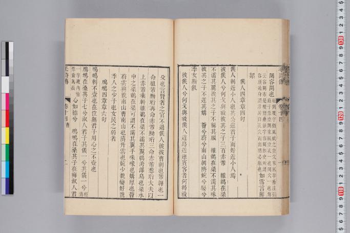 拡大画像へ