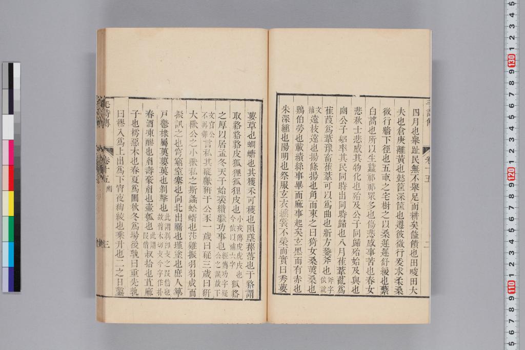 標準画像へ