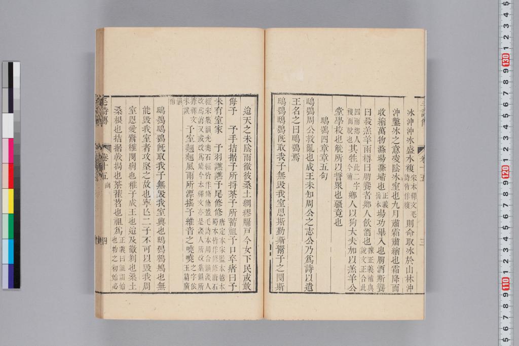 標準画像へ