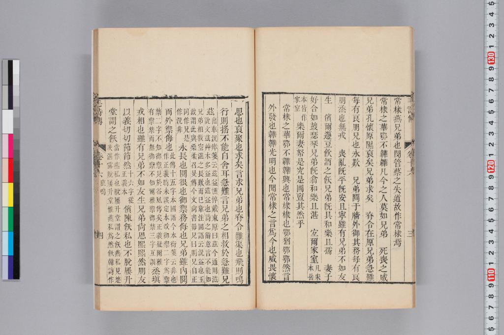 標準画像へ