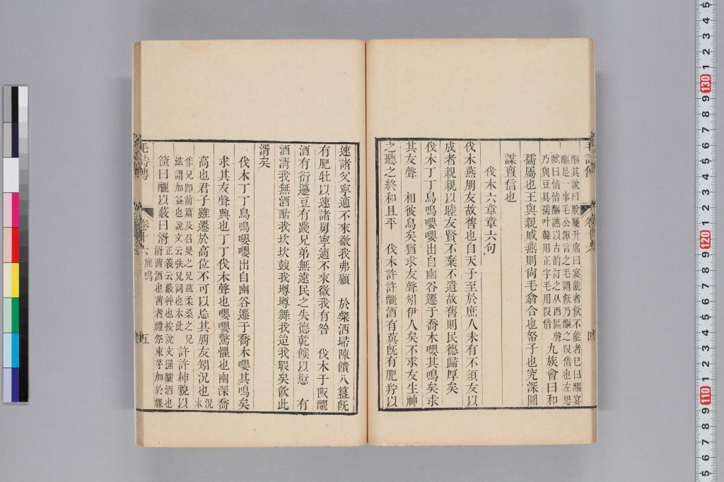 標準画像へ