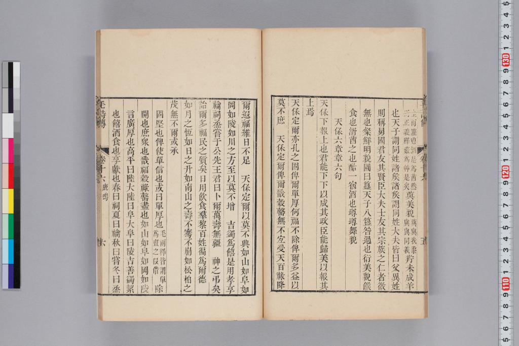 標準画像へ