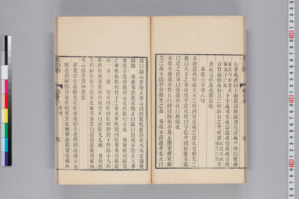 標準画像へ