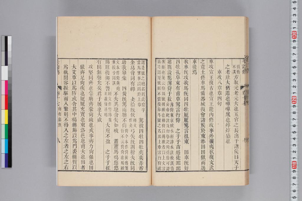 標準画像へ