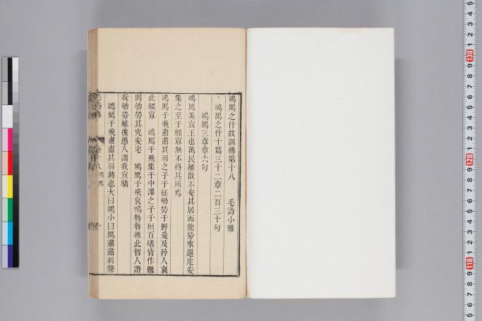 拡大画像へ
