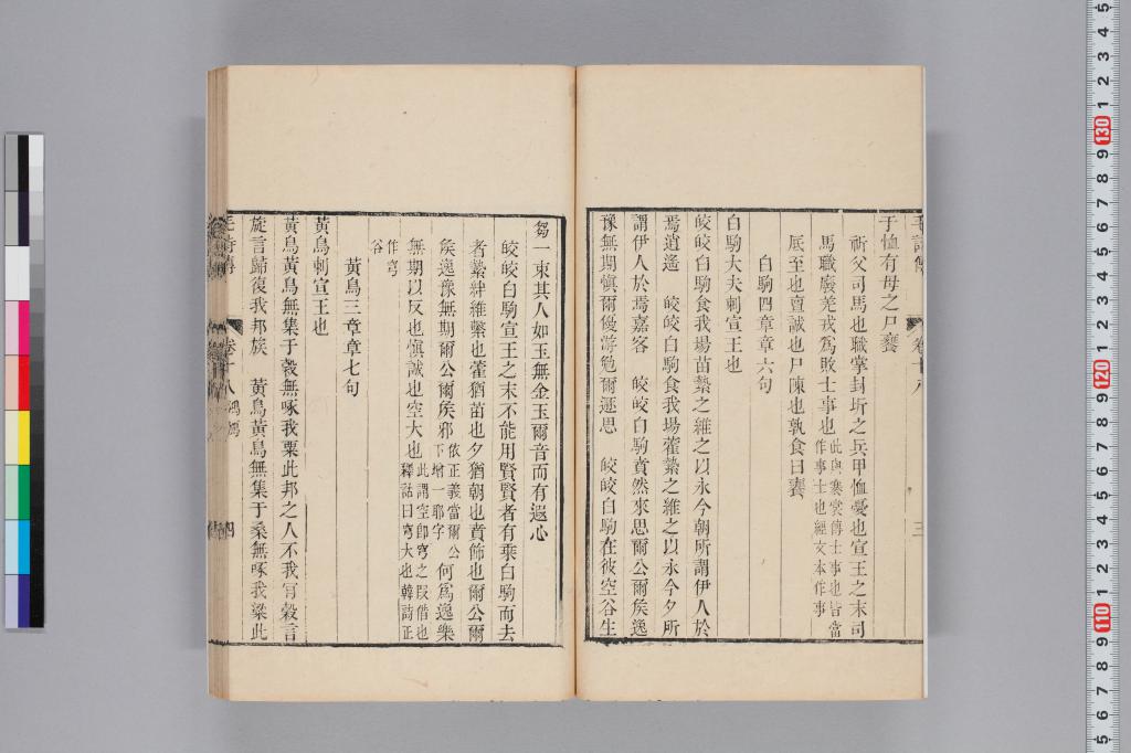 標準画像へ