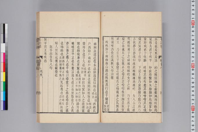 拡大画像へ