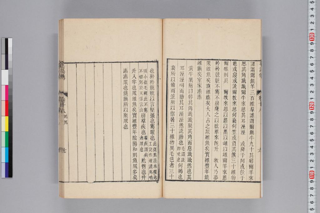 標準画像へ