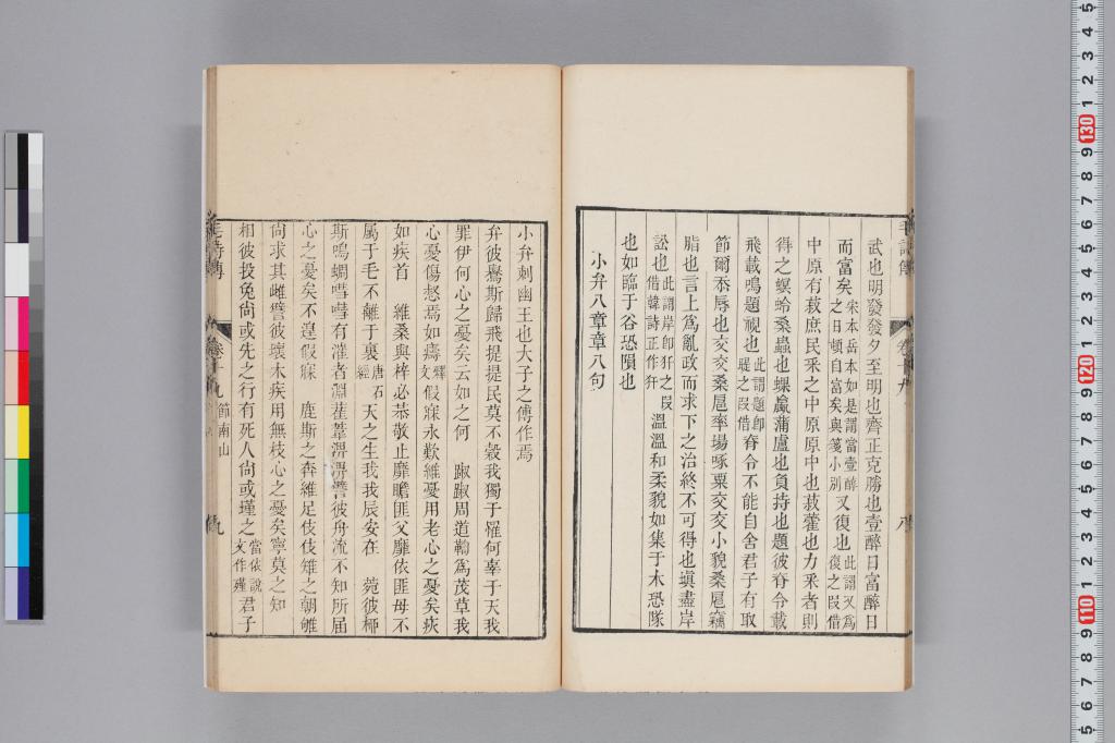 標準画像へ