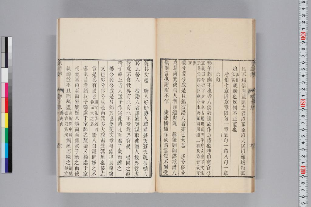標準画像へ