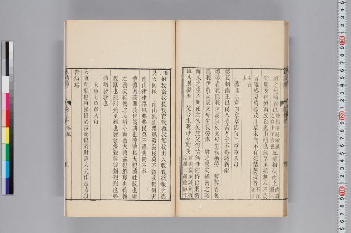 拡大画像へ