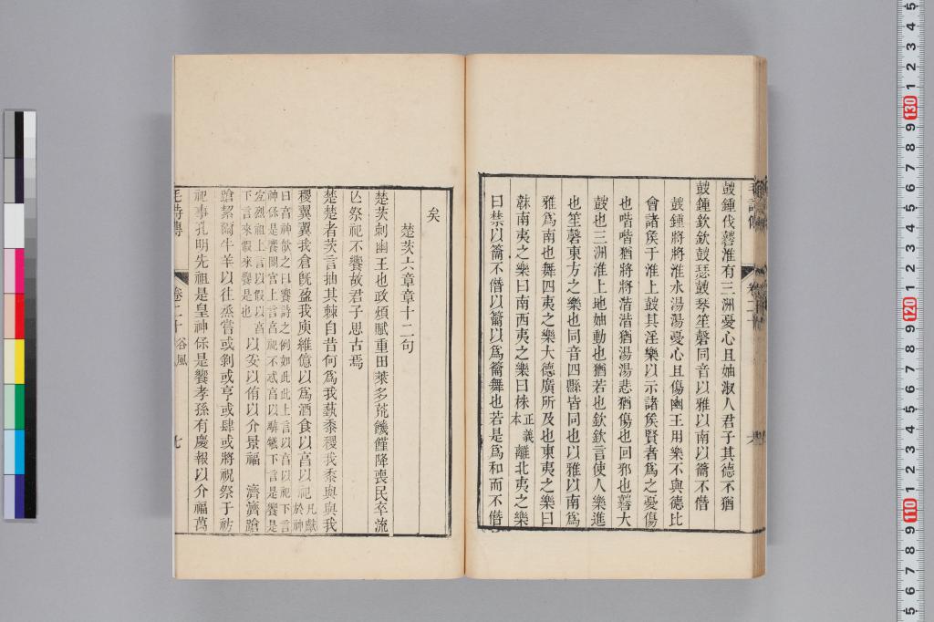 標準画像へ
