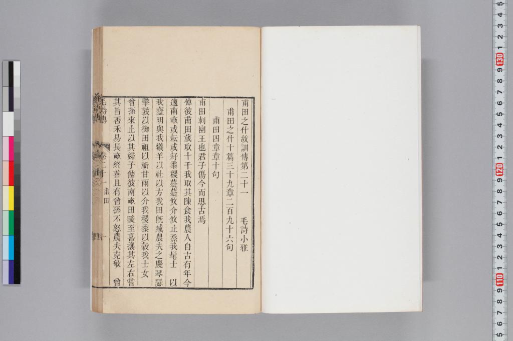 標準画像へ
