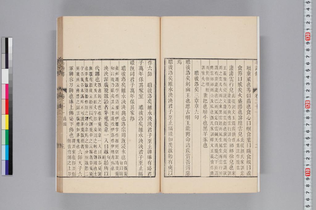 標準画像へ