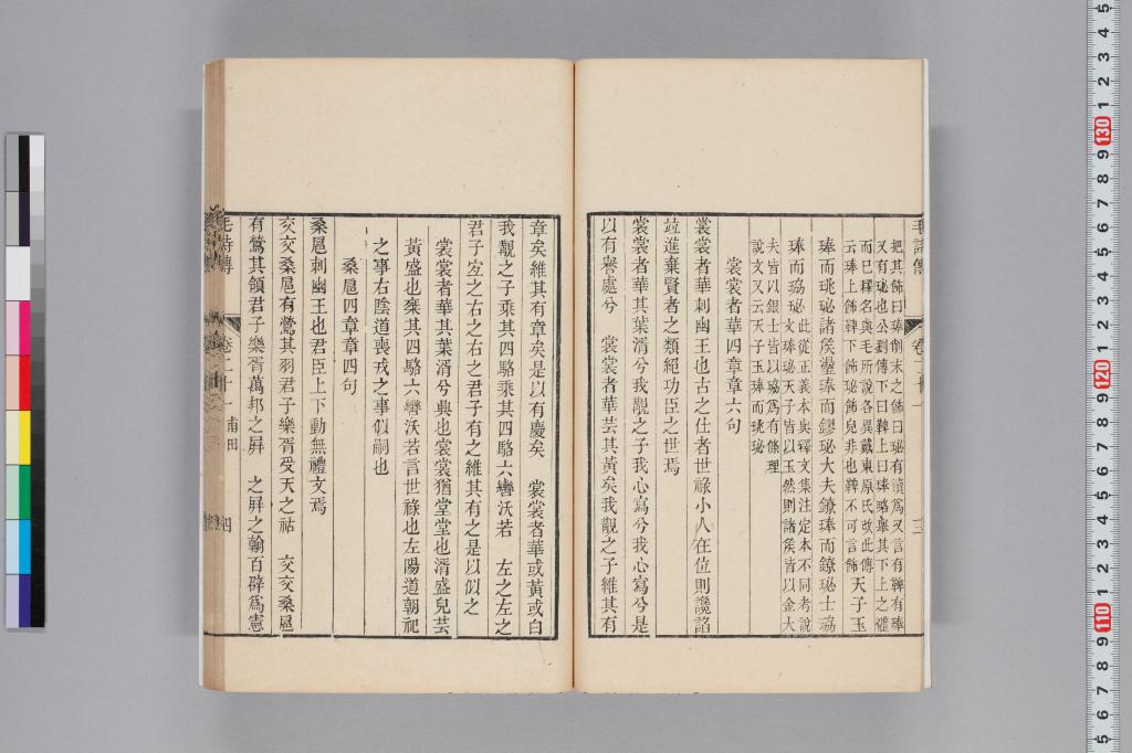 標準画像へ
