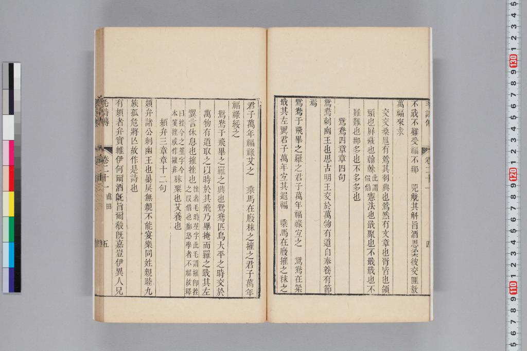 標準画像へ
