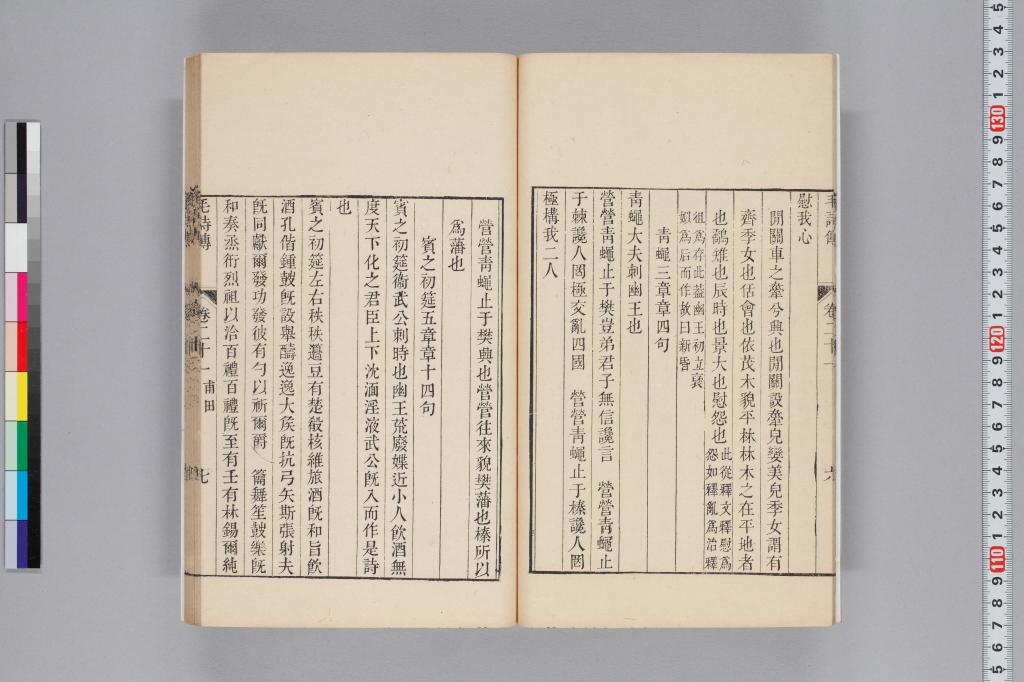 標準画像へ
