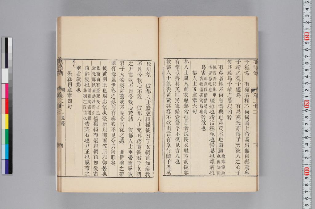 標準画像へ