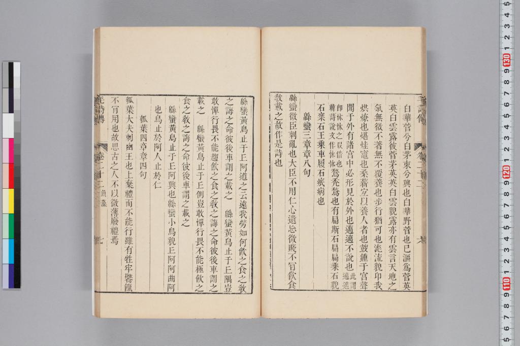 標準画像へ