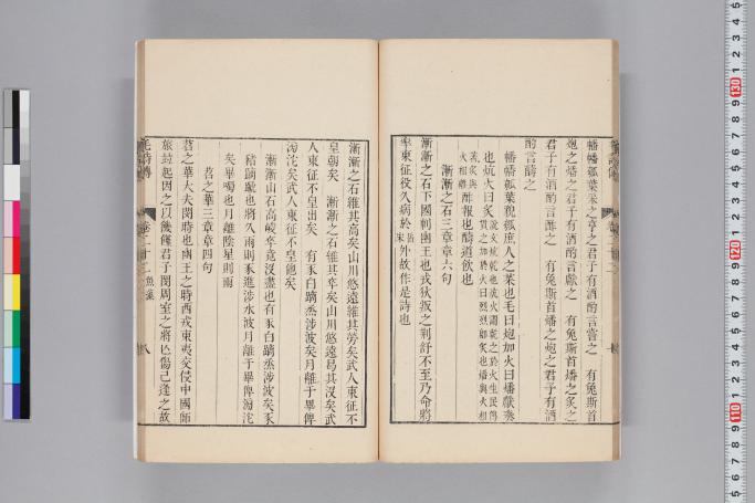拡大画像へ