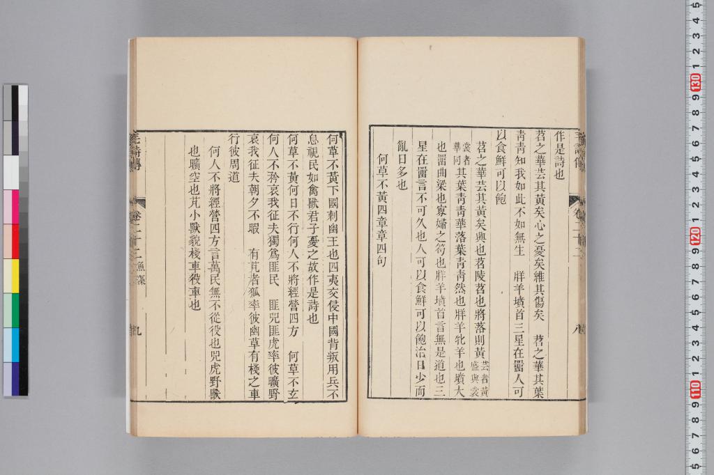 標準画像へ