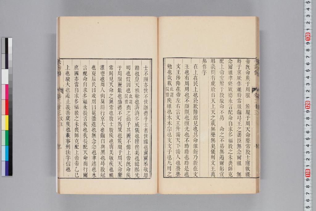 標準画像へ