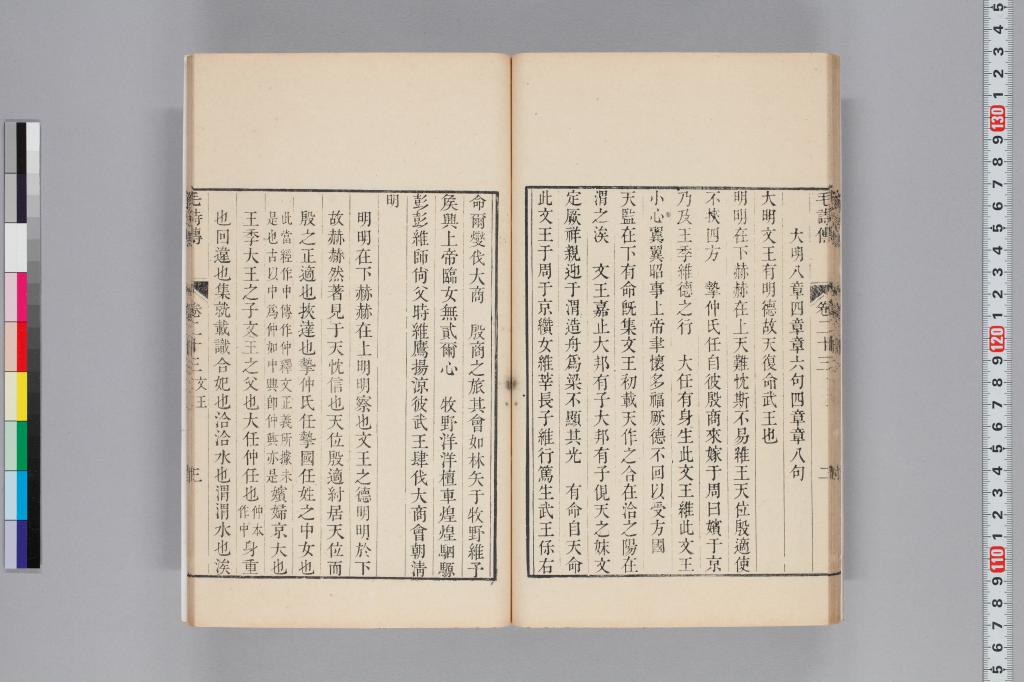 標準画像へ