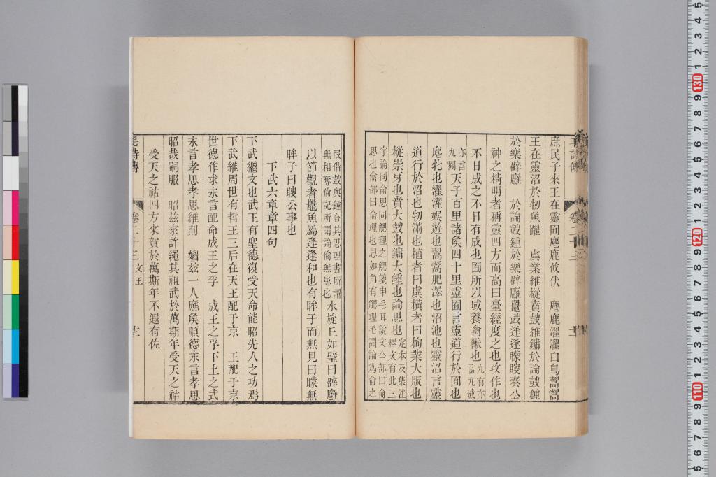 標準画像へ