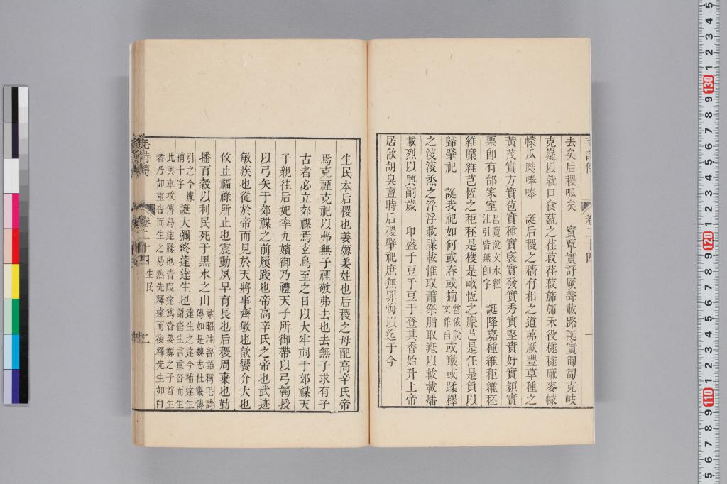 標準画像へ
