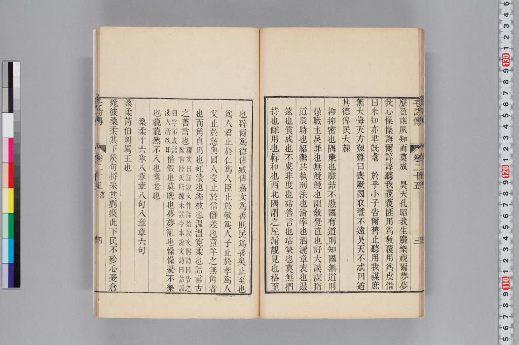 標準画像へ