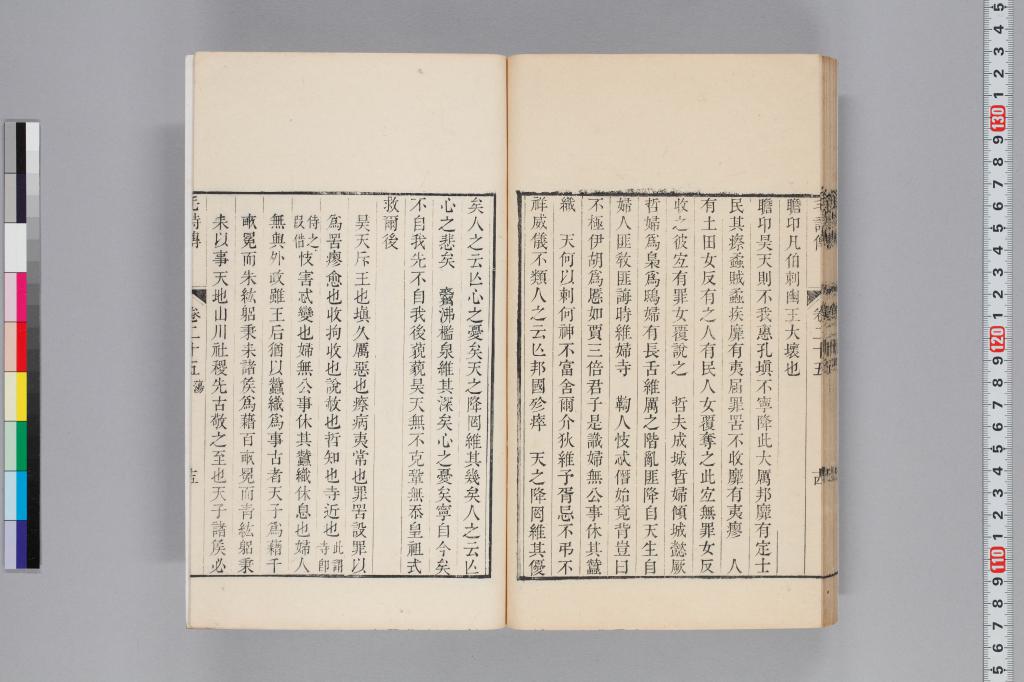 標準画像へ